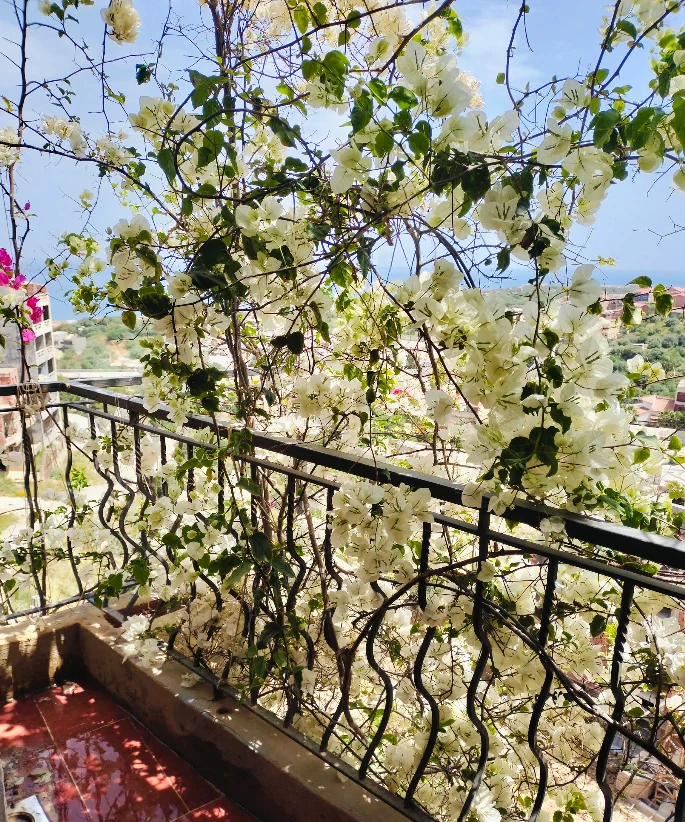 Balcon fleuri avec vue