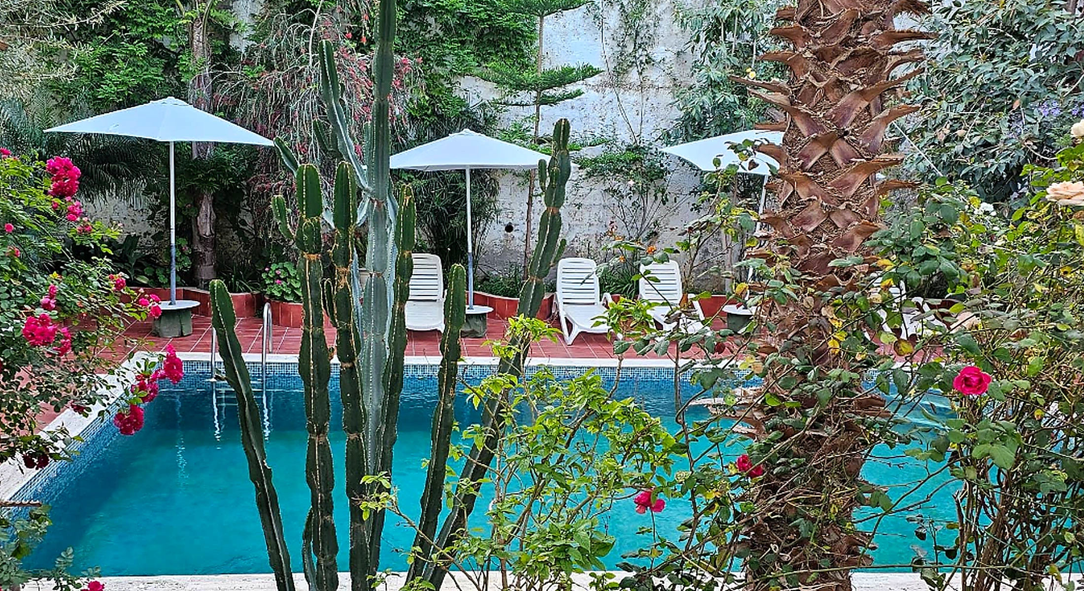 Maison RKA entre jardin et montagnes