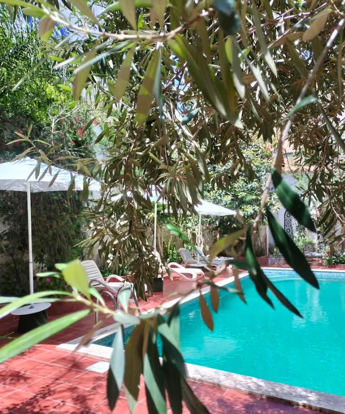 Piscine à travers le jardin