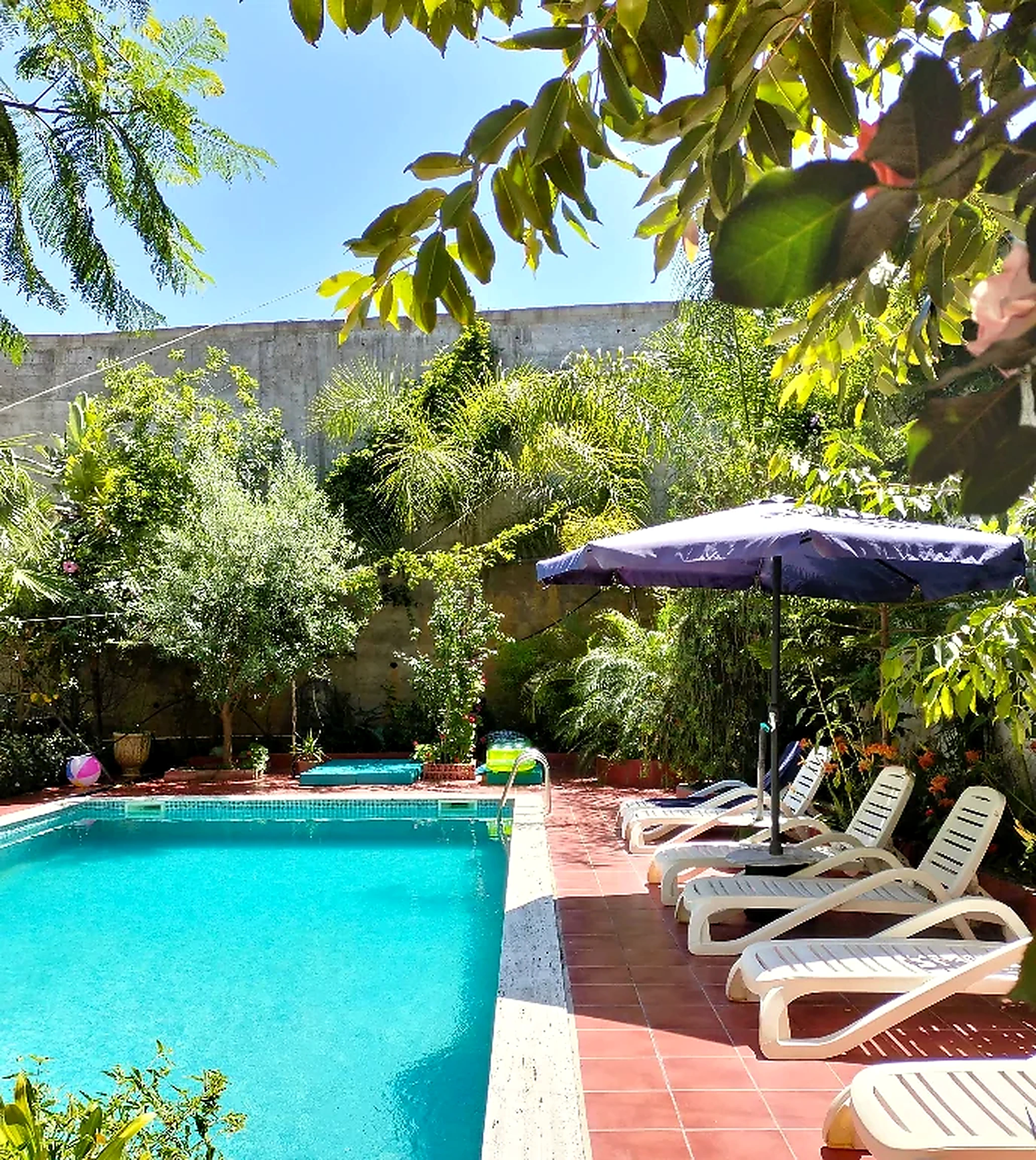 Piscine et jardin de Maison RKA